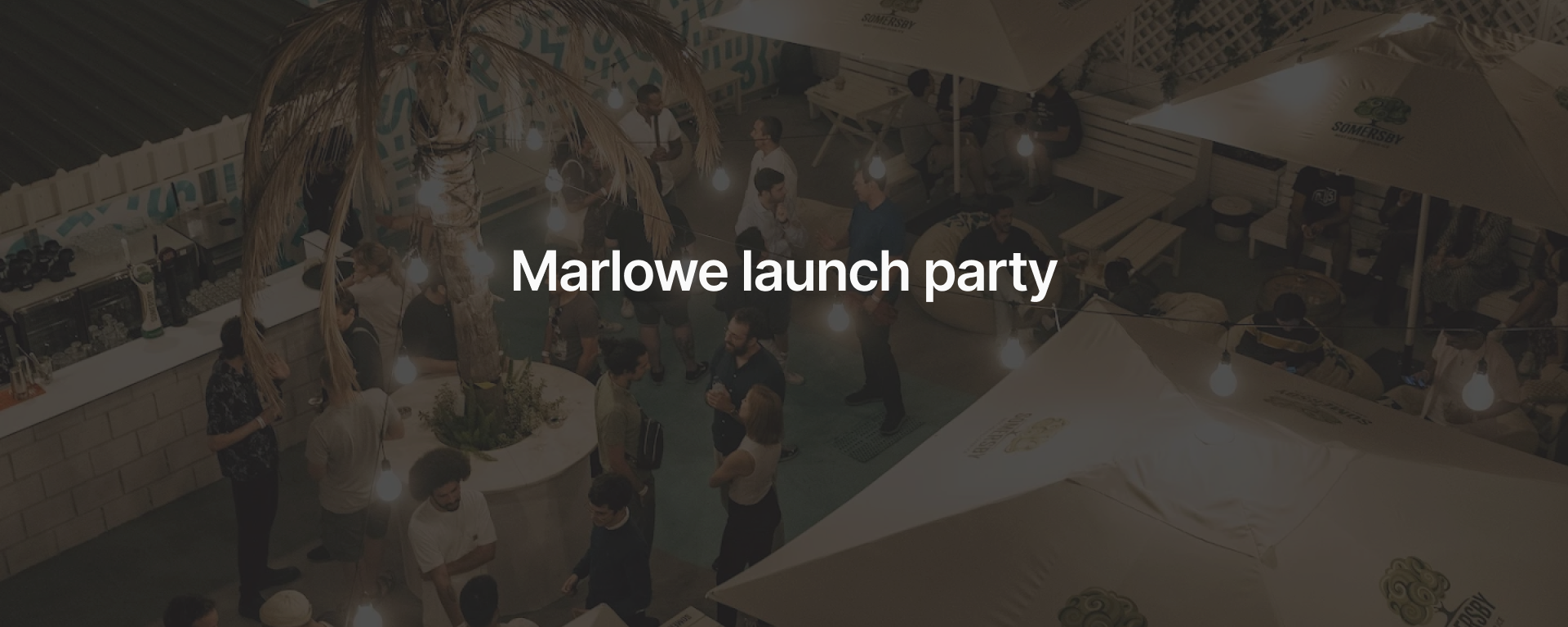 Marlowe launch party: celebrating the future of smart contracts